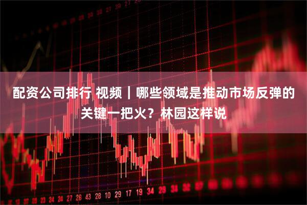 配资公司排行 视频｜哪些领域是推动市场反弹的关键一把火？林园这样说